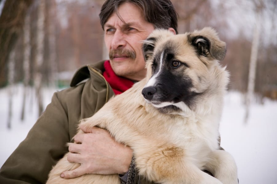 何かを見る人間と犬