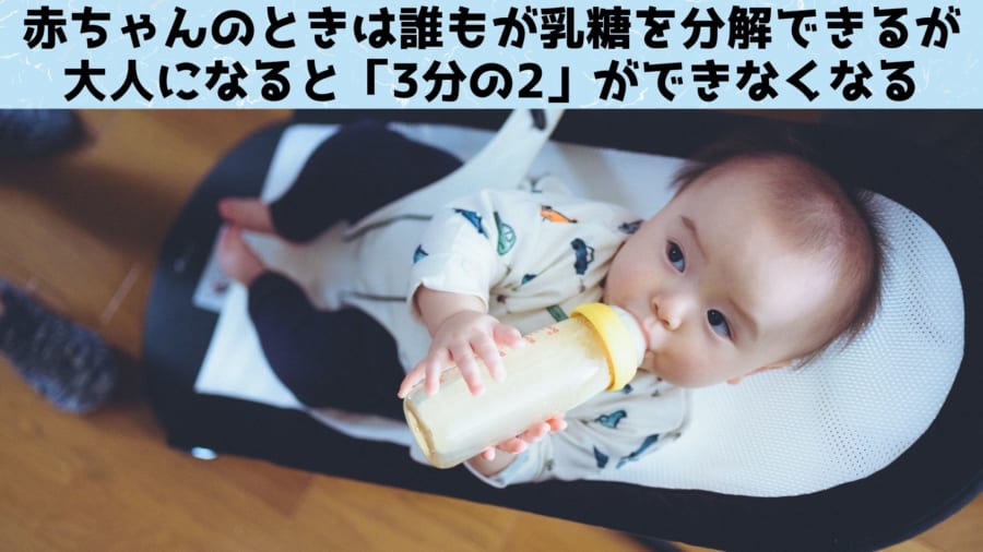 乳糖分解能力は飢饉や病気を生き残るためにわずか数千年で獲得されたと判明！