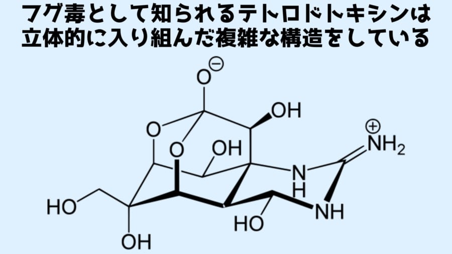 フグ毒は立体的な非常に複雑な構造をしており人工合成の過程も複雑になっていた