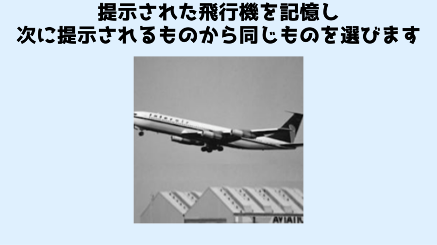 ３番目は提示された飛行機と同じものを選ぶテストです