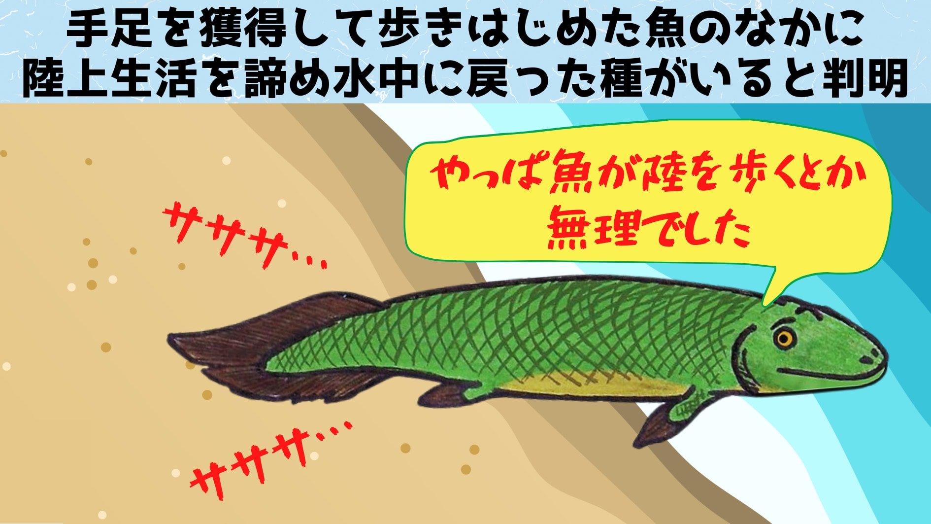 手足を進化させ陸にあがったのに、すぐ諦めて水中へ戻ってしまった魚がいたの画像 2/5