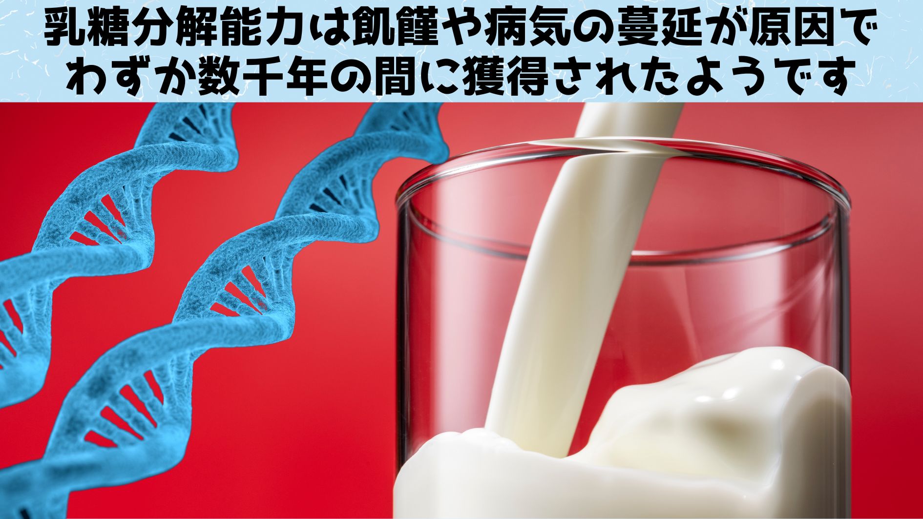 乳糖分解能力は飢饉や病気を生き残るためにわずか数千年で獲得されたと判明！