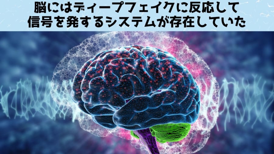 脳は本物と偽物を無意識で見分けるが結論にはつながらない