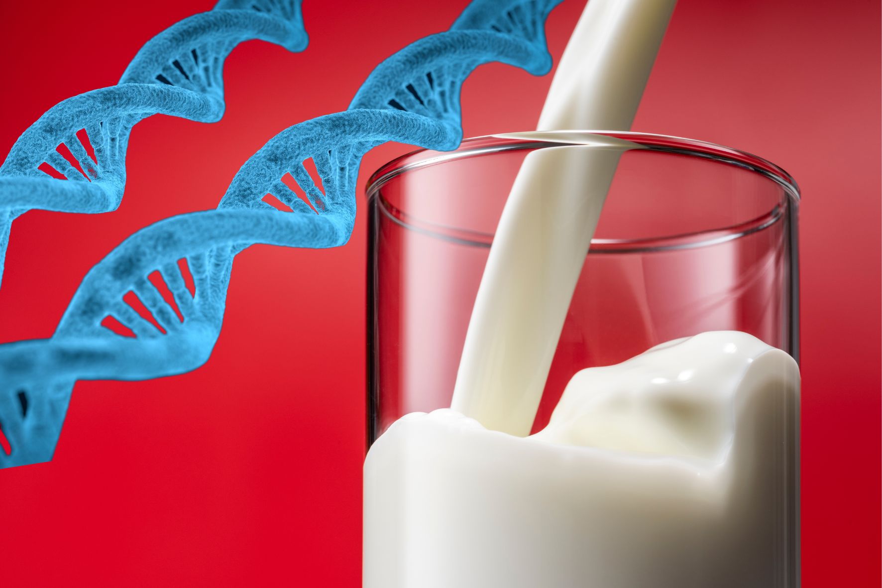 人間が牛乳でお腹を壊さなくなったのはわずか数千年で獲得された進化だった