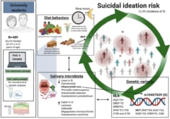 学部生489人を対象に、唾液サンプルの分析・うつ病のスコア評価・生活習慣などを調査