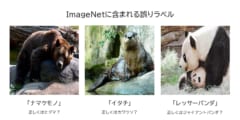 ImageNetに含まれる誤りラベルの例