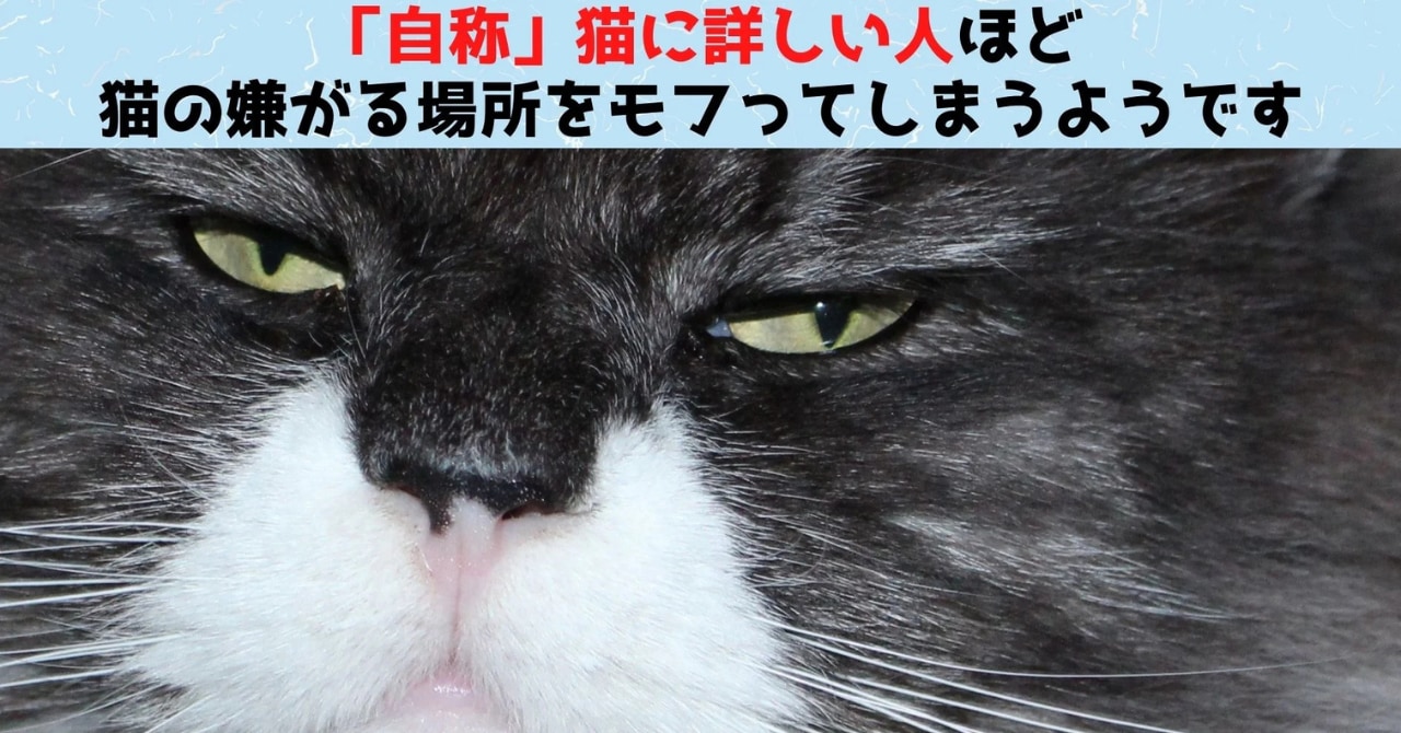 猫好きほど「猫が嫌がる場所」を撫でてしまう傾向がある！の画像 1/5