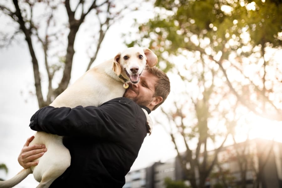 犬は飼い主と再会すると「うれし涙」を溜めることが判明！