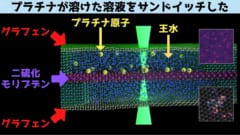 最先端材料を使ったサンドイッチで溶けたプラチナ原子を追う