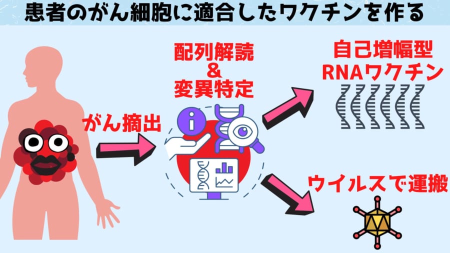 ふえるRNAワクチンとウイルスで運ぶワクチンの2種類を混合して使用します