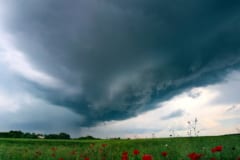 大きな氷の粒は雲の下側に集まる