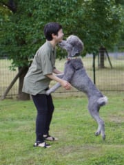 飼い主と再会する愛犬