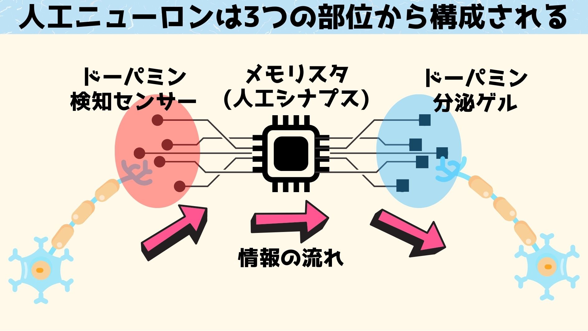 人工ニューロンの模式図