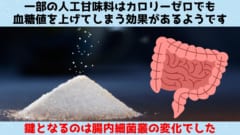 一部の人工甘味料はカロリーゼロでも血糖値を上げる可能性があると判明