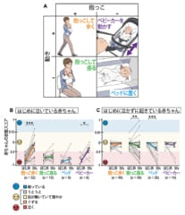 赤ちゃんに四つのタスクをそれぞれ30秒間行った結果