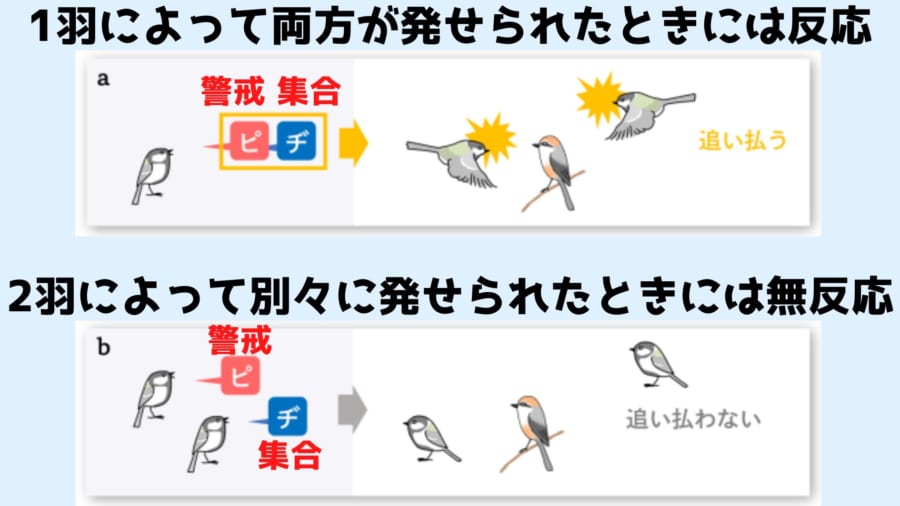 人間の認知能力を参考に組まれたエレガントな実験