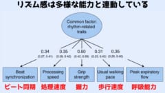 リズム感がある人は「夜型」が多く「速足」で「握力が強い」