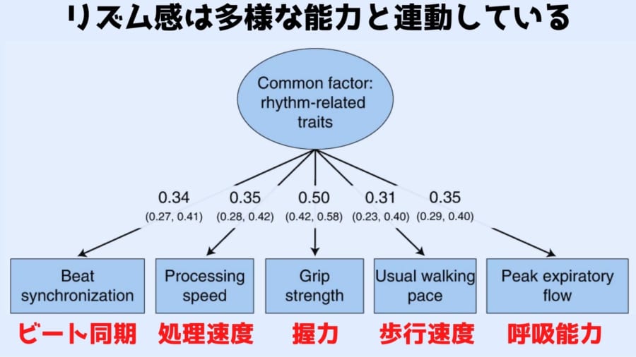 リズム感がある人は「夜型」が多く「速足」で「握力が強い」