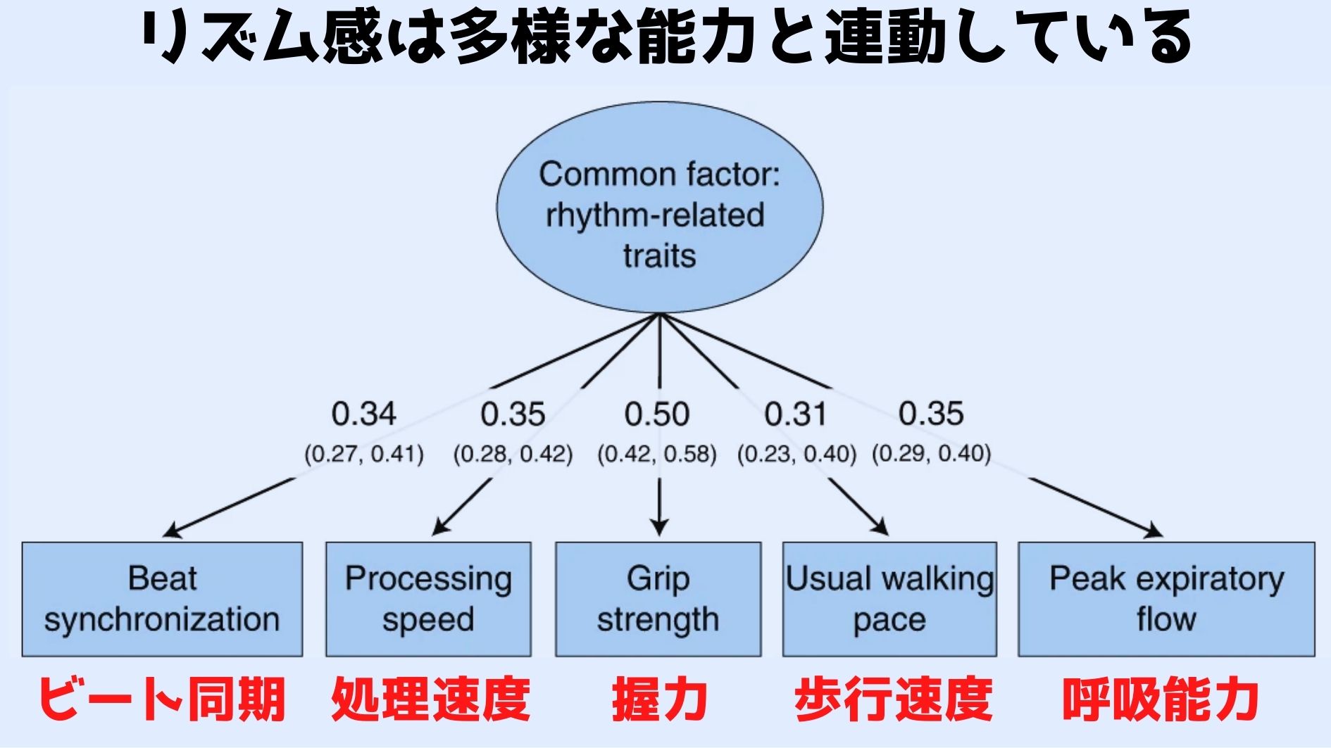 リズム感がある人は「夜型」が多く「速足」で「握力が強い」