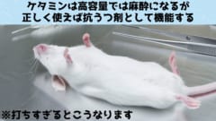 ケタミンはうつ病への高い効果が期待されている