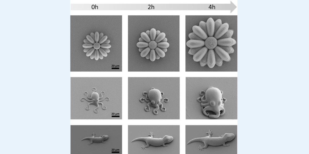時間変化までデザインできるマイクロ材料の「4Dプリント」！の画像 1/3