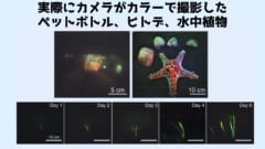 カメラは数週間にわたりバッテリーなしに稼働しカラー写真のデータを送信してきた