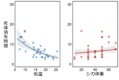 シカ死体の消失時間と気温、およびシカ体重の関係性を予測した図