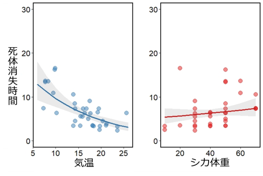 シカ死体の消失時間と気温、およびシカ体重の関係性を予測した図