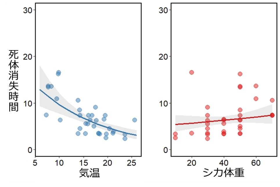 シカ死体の消失時間と気温、およびシカ体重の関係性を予測した図