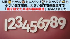 地球の動物は数認識で「種を超えた共通の精神構造」を持っている