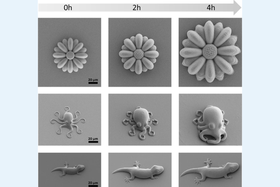 時間変化までデザインできるマイクロ材料の「4Dプリント」！