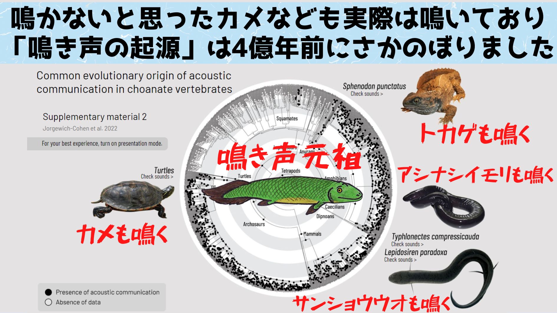 最初の声はいつ？　動物の「鳴き声の起源」が4億年前に遡ると判明