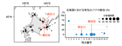北海道における有性フナ（2倍体）の割合