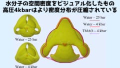 水圧によって水分子たちの存在する位置が圧縮されている