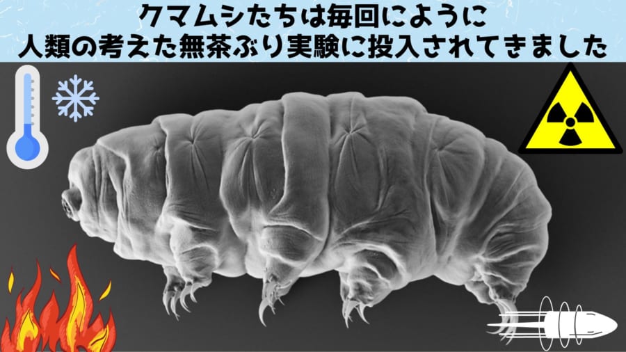 クマムシは毎回、人類の無茶ぶり実験に付き合わされている