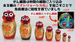 がん細胞は「マトリョーシカ化」して免疫療法に耐えると判明！