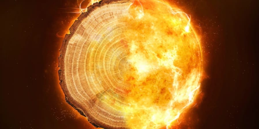 樹木年輪から過去1万年で6回の巨大太陽嵐の痕跡を発見！ スーパー
