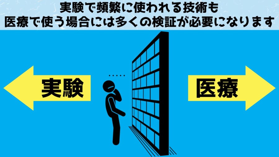 実験室で得られた成果を医療現場へ投入するには、安全性の証明など高い壁が存在していた