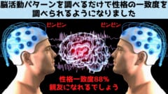 脳活動を測定するだけで「性格の類似性」を調べられると判明！