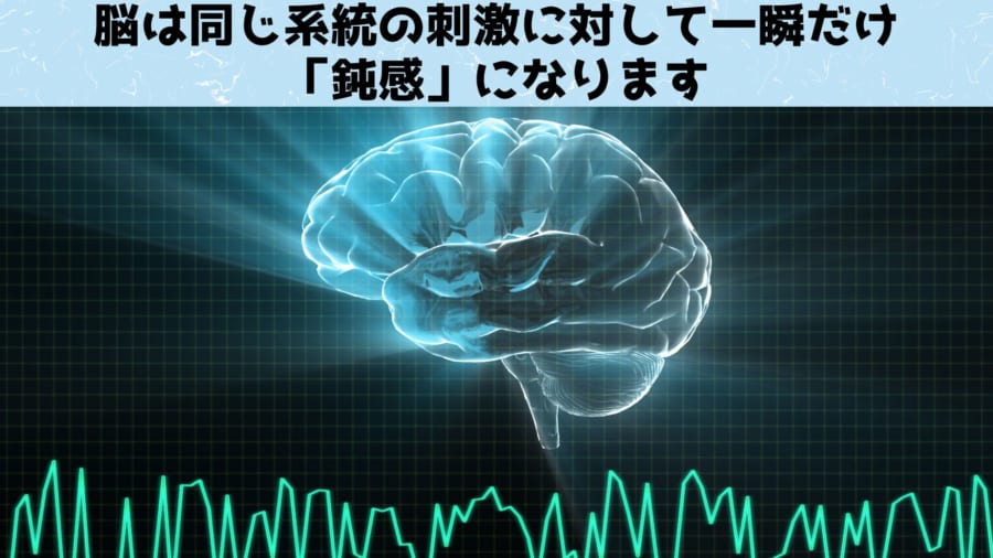 人間とラットのヘドバンが同じペースである理由