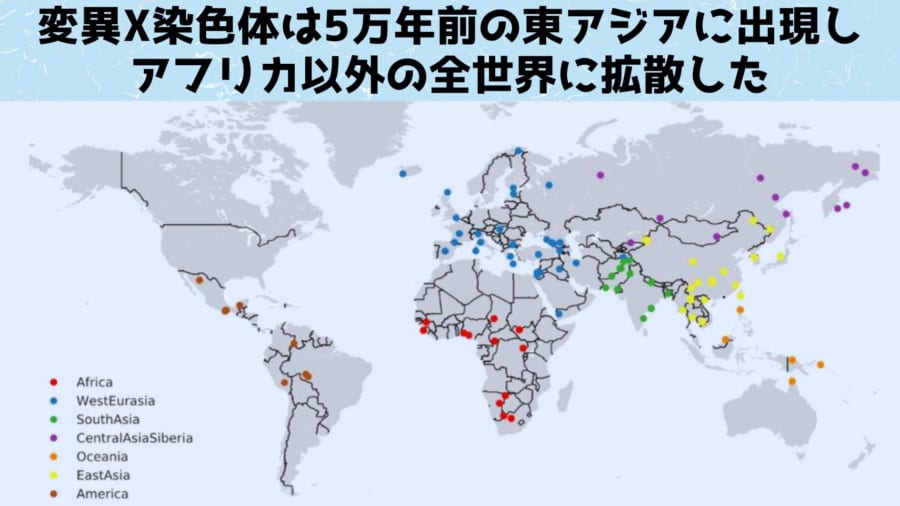 5万年前に人類のX染色体は塗り替えられてしまった