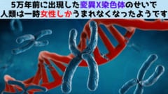 人類はかつて「Y精子を殺すX染色体」のせいで女性ばかりうまれていた