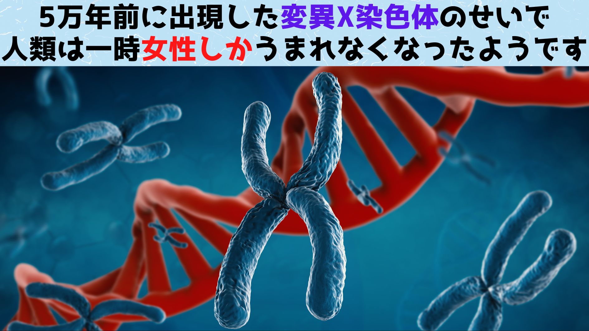 人類はかつて「Y精子を殺すX染色体」のせいで女性ばかりうまれていた