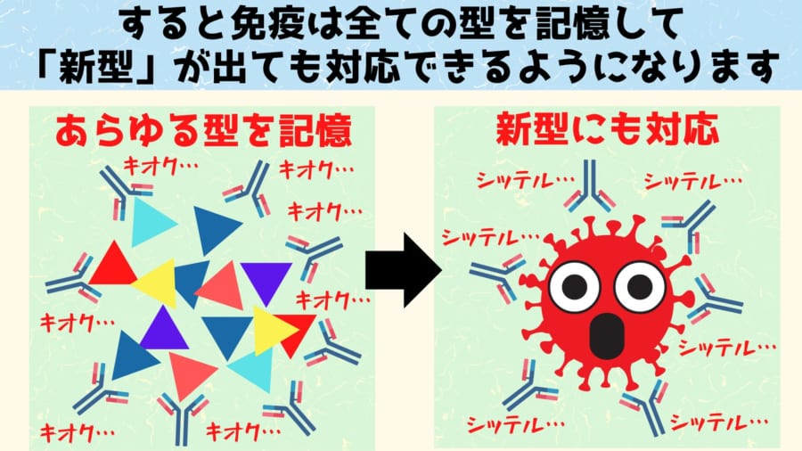 するとマウス体内でさまざまな型のウイルスの断片が出現し免疫の訓練が劇的に進みます