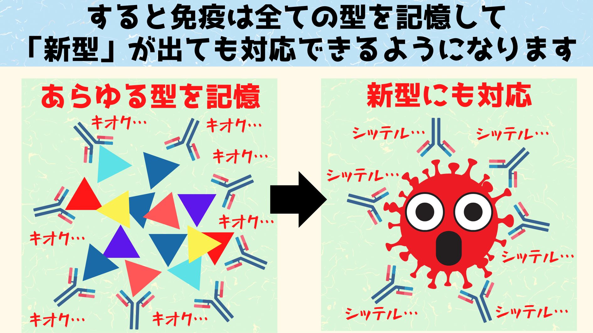 するとマウス体内でさまざまな型のウイルスの断片が出現し免疫の訓練が劇的に進みます