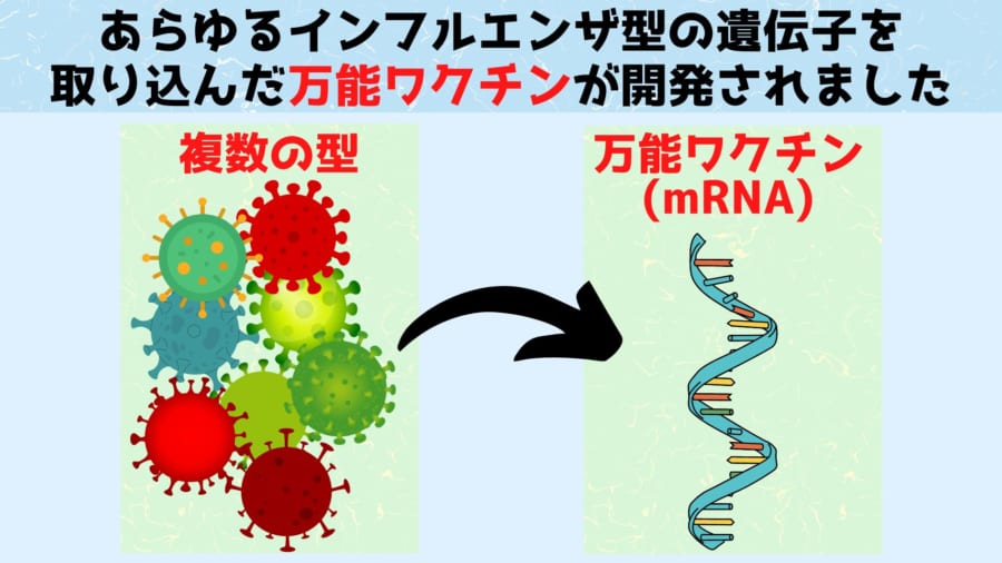 まずこれまで知られている全20種類のインフルエンザウイルスから遺伝子を抽出しmRNAワクチンの内部に組み込んでいきます