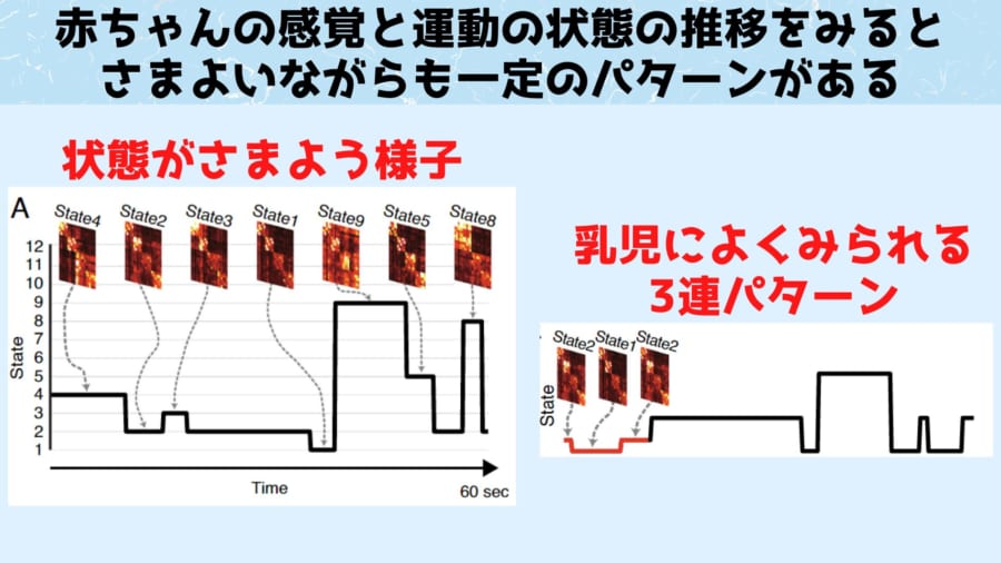 研究者たちはこの推移を「感覚運動ワンダリング」と命名しました