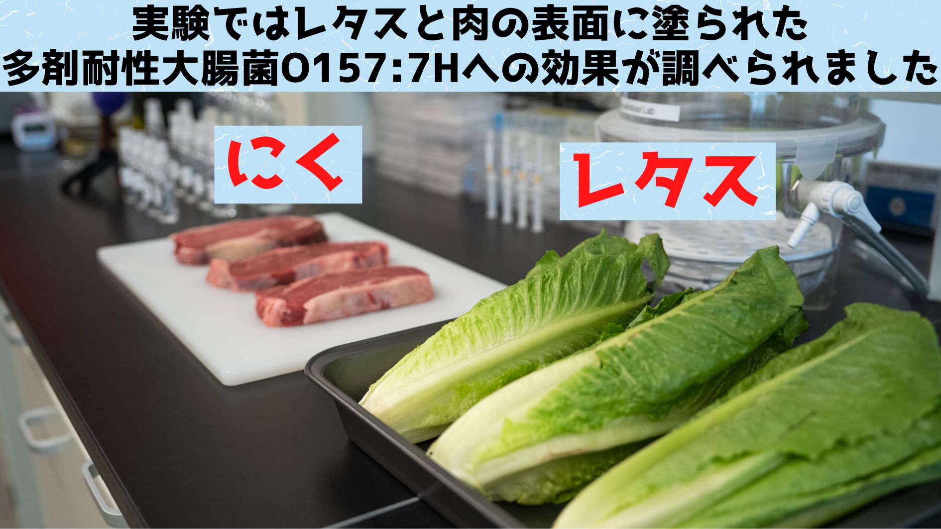 細菌を狩るウイルスを食品にスプレーして殺菌することに成功！