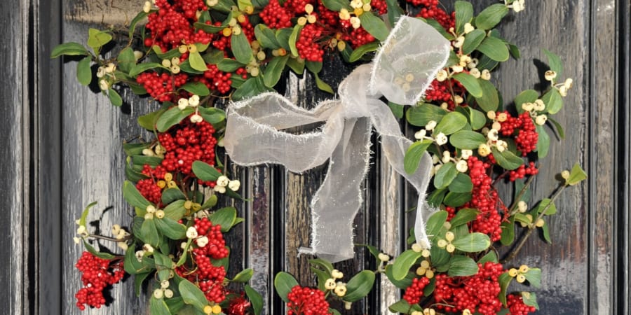 クリスマス飾りの定番「ヤドリギ」とはどんな植物？ - ナゾロジー