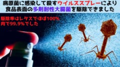 細菌を狩るウイルスを食品にスプレーして殺菌することに成功！